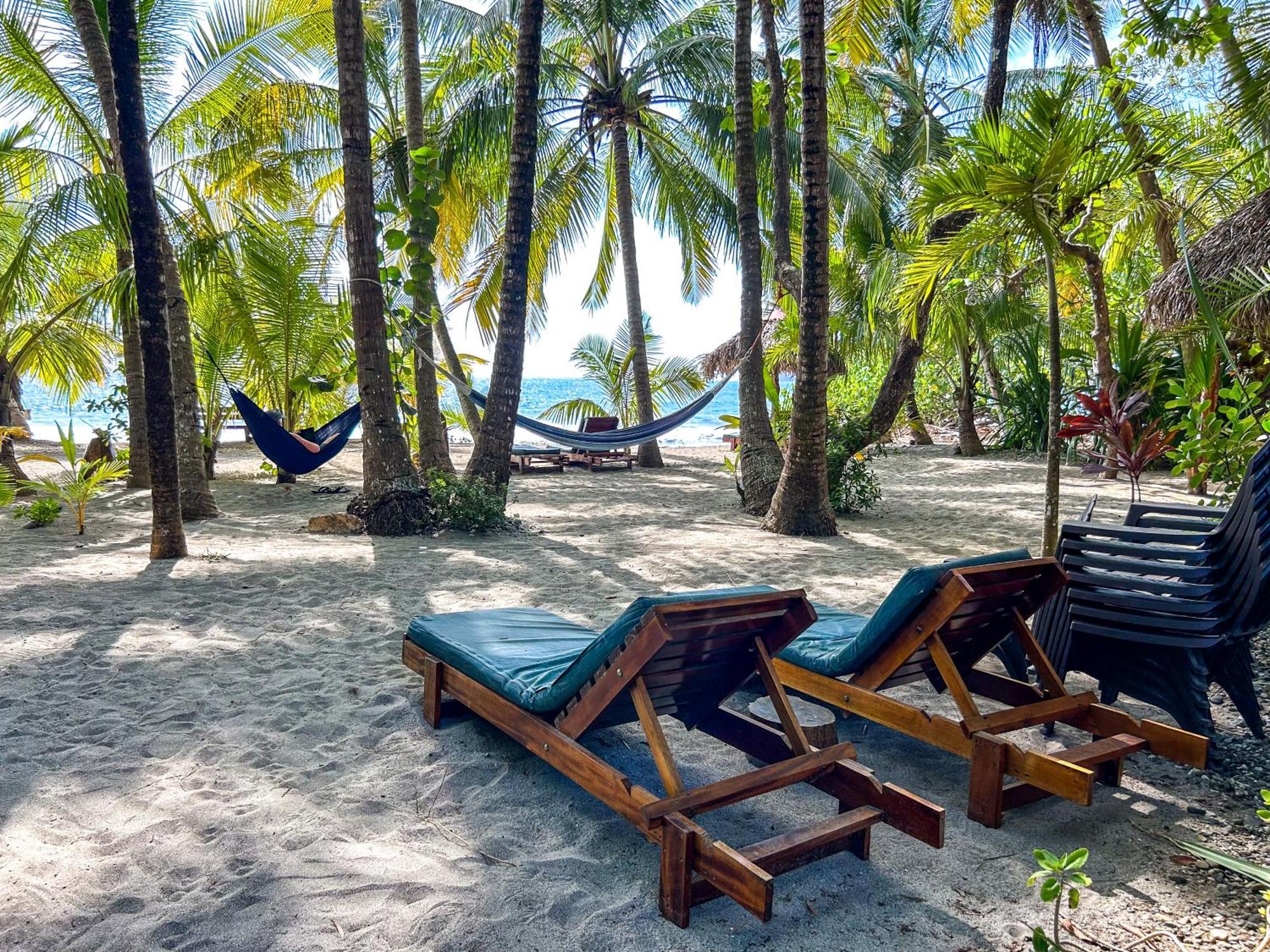 Fenix Hotel - On The Beach Sámara Εξωτερικό φωτογραφία